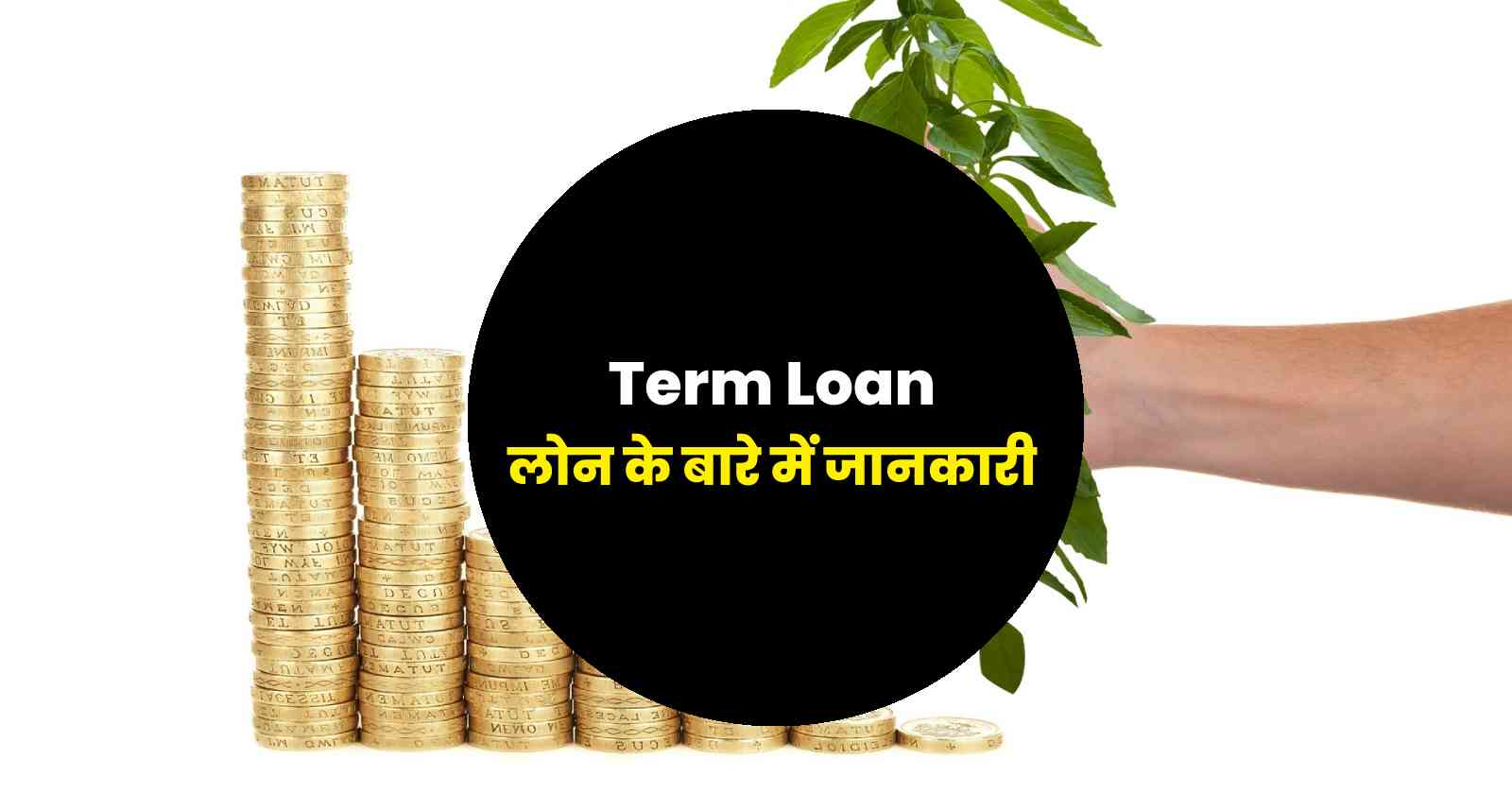 Term Loan In Hindi