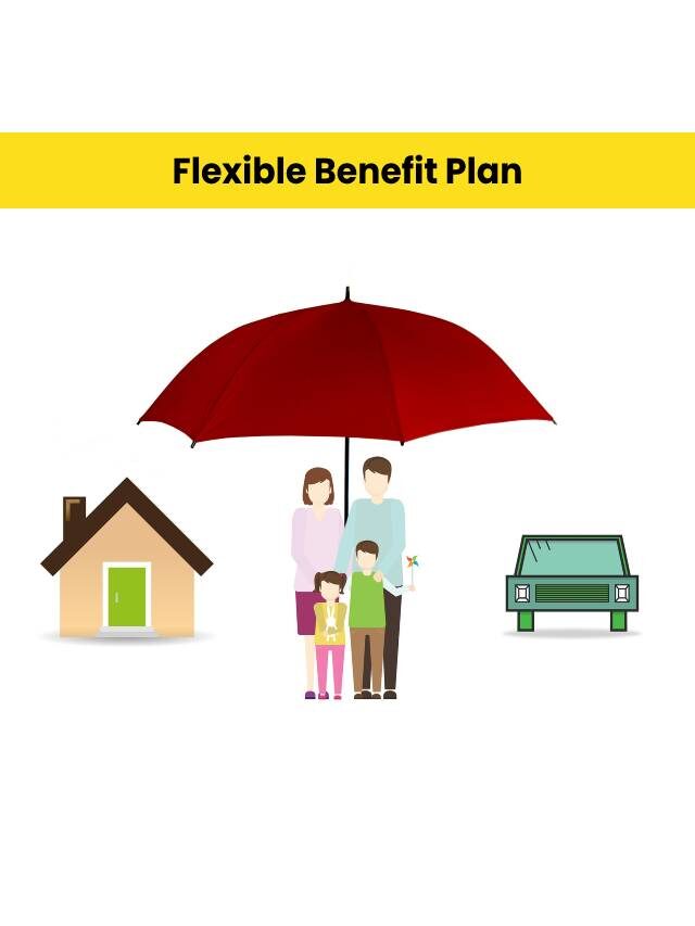 Best Guide on Flexible Benefit Plan